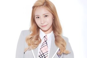 Huh Chan-mi: Profil, Perjalanan Karier, Dan Aktivitas Terbarunya Di Dunia Hiburan Korea